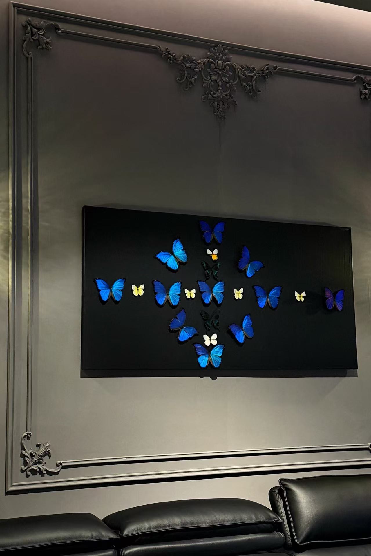 ButterflySnap 店内场景 1